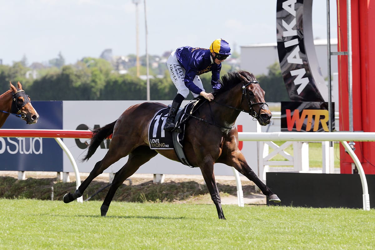 Mynott looking for Cup Week win