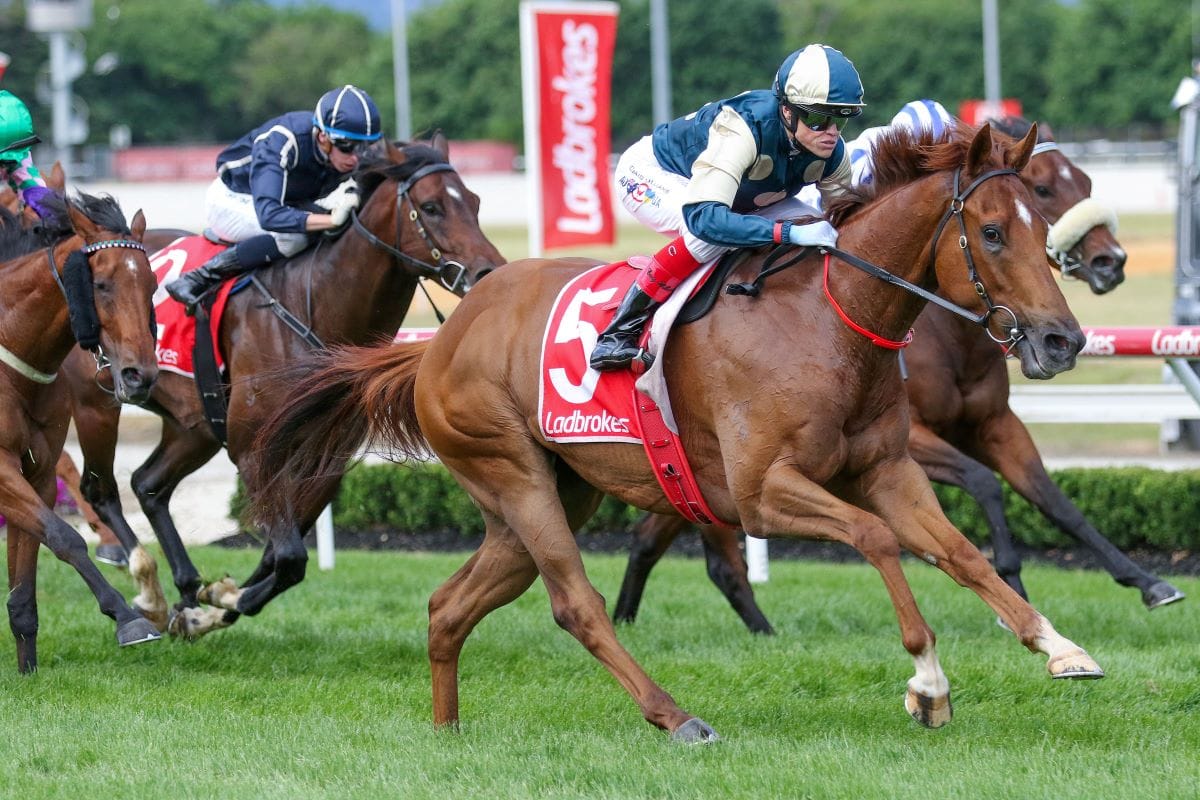 Jimmysstar continues rapid rise in Shooting Stars