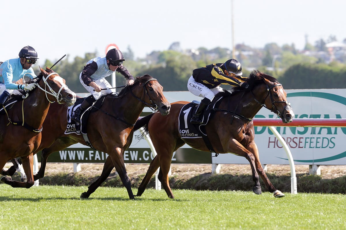 Johny Johny gearing up for winter campaign