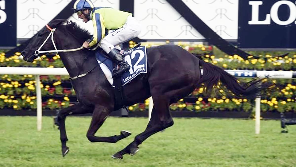 Change of plan lands Petagna Cup contender