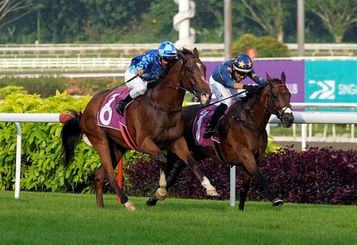 Lim's Kosciuszko wins Singapore Gold Cup