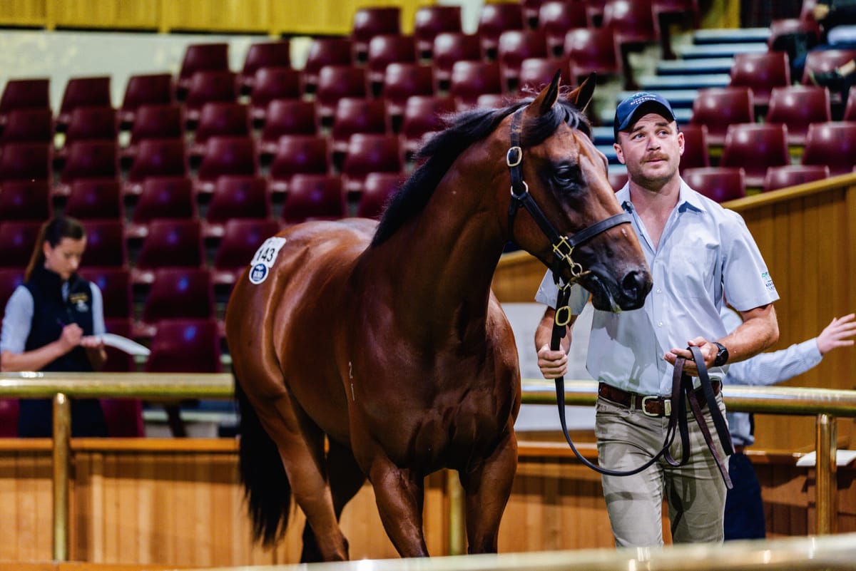 Record-Breaking Day One for 2023 Ready to Run Sale