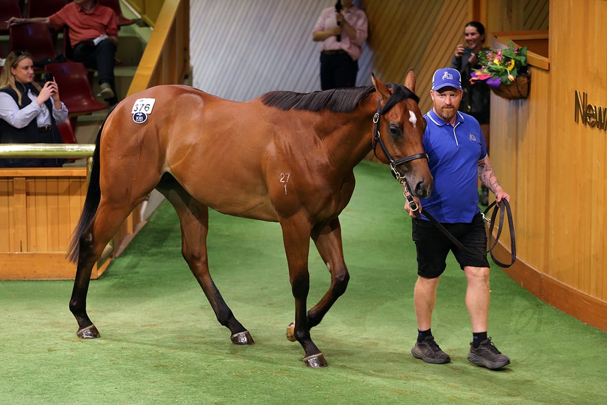 Records Smashed at 2023 Ready to Run Sale