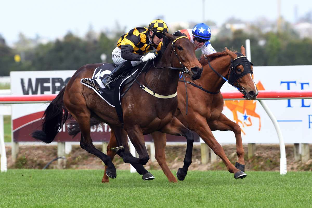 Green light for Luberon