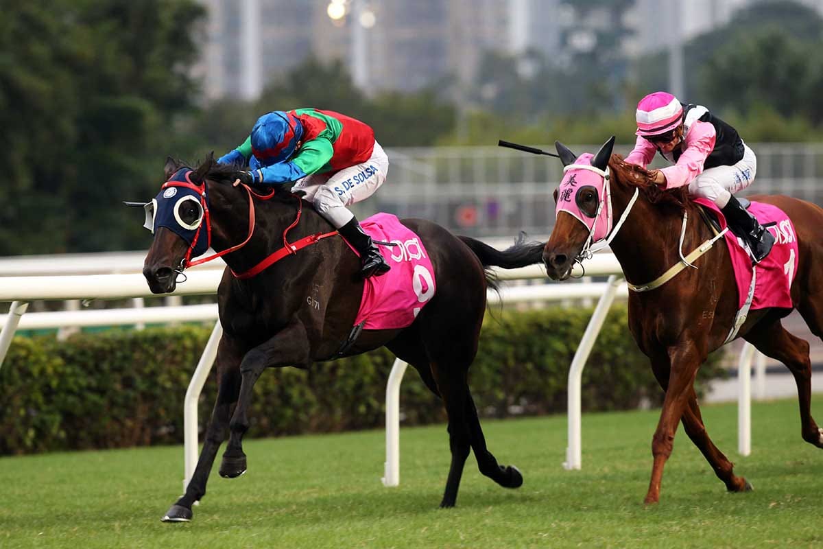 Money Catcher faces weighty G3 Sa Sa Ladies’ Purse challenge