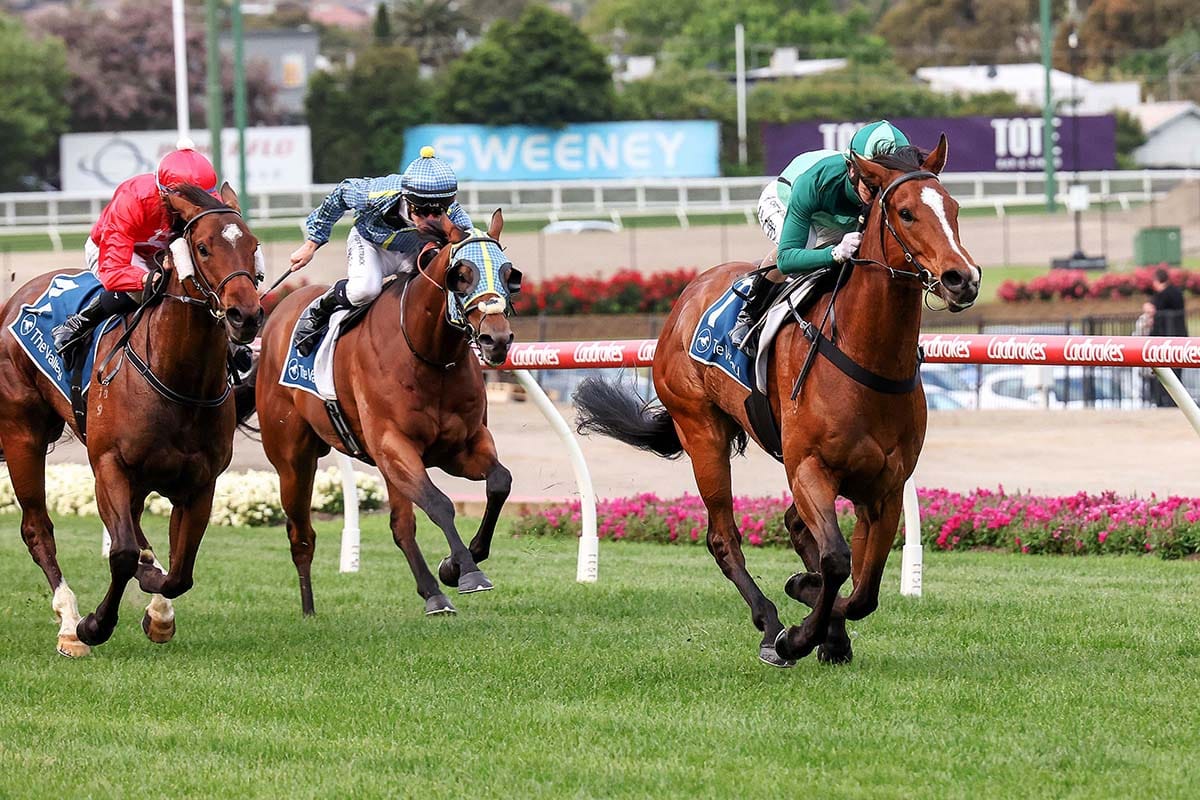 Mr Mojo Risin’ too good at The Valley