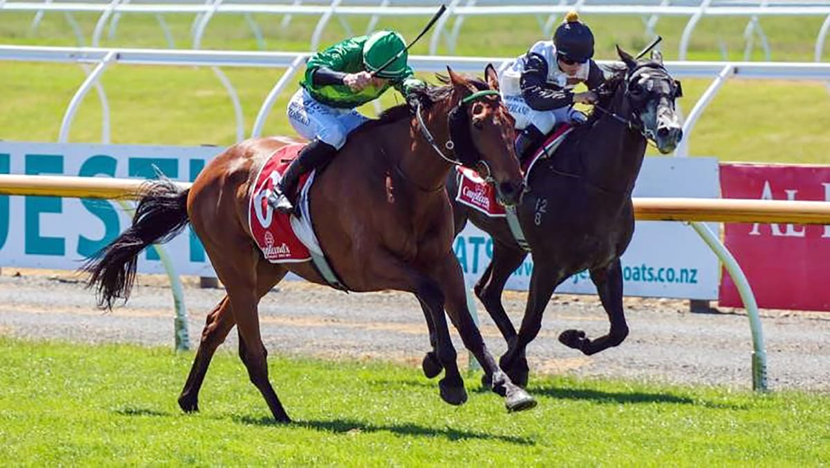 Noble stayer provides Cup Week consolation for Cunningham