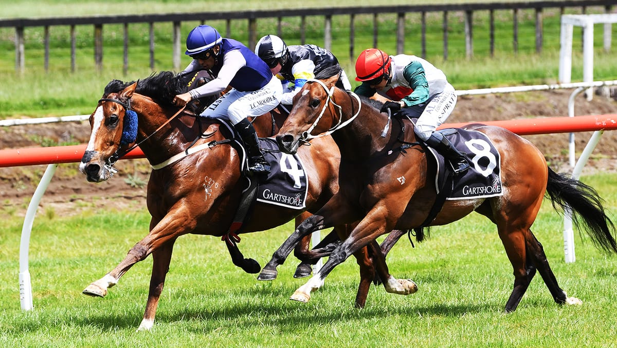 Sprinter stars at Tauranga