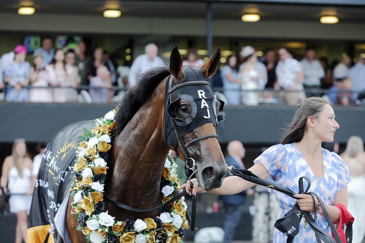 VIDEO: CHAMPIONS STAKES - PROWESS