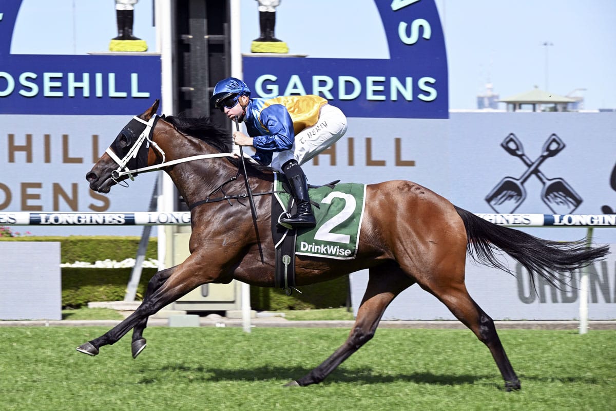 Roots dominant in Hot Danish Stakes win