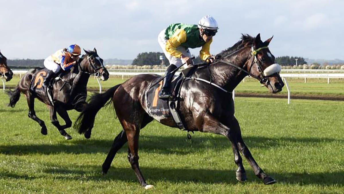 Bergerson team out in force at Wanganui