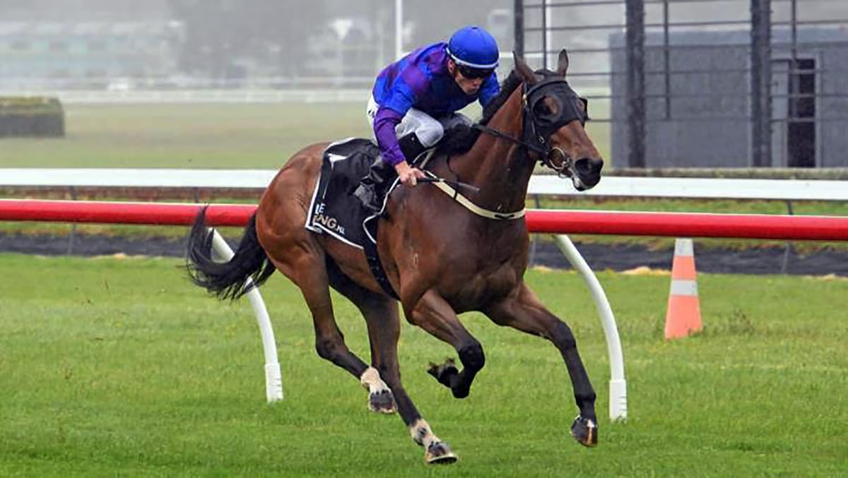 Up The Anti stepping up to Group Three test