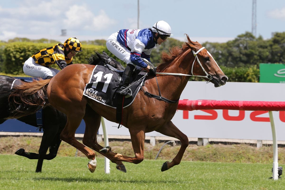 Velocious gets debut win at Te Rapa