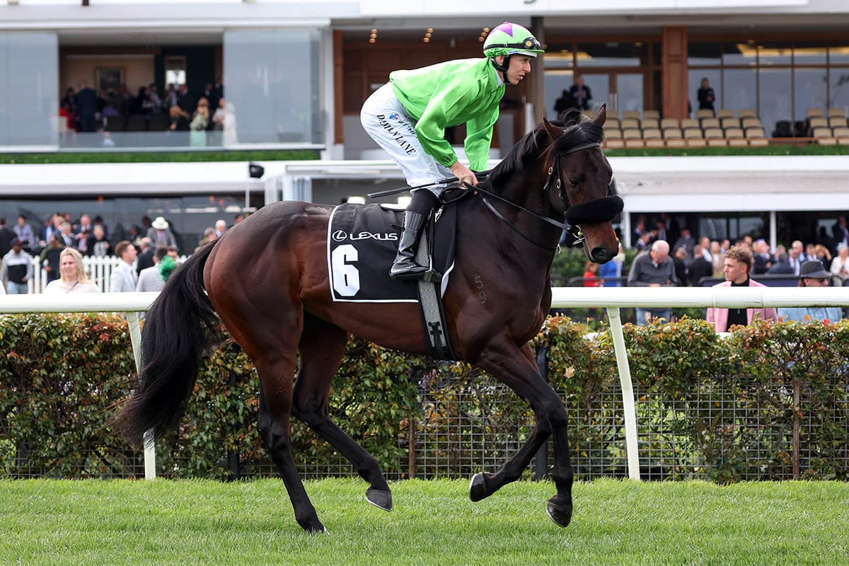 Jockey declared for Virtuous Circle