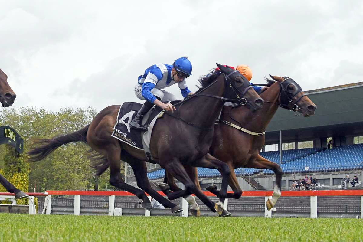 Wallen primed for Te Aroha