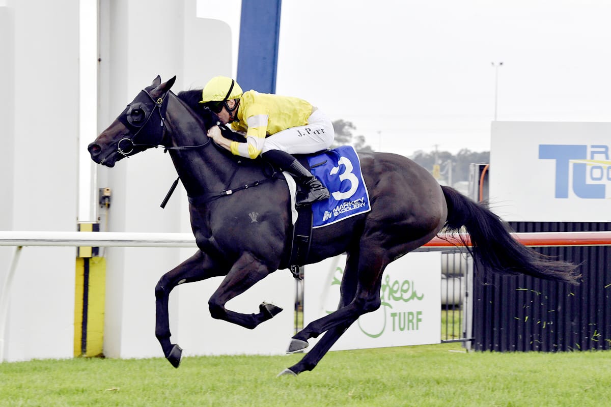 Blinkers to spark Thompson duo at Randwick