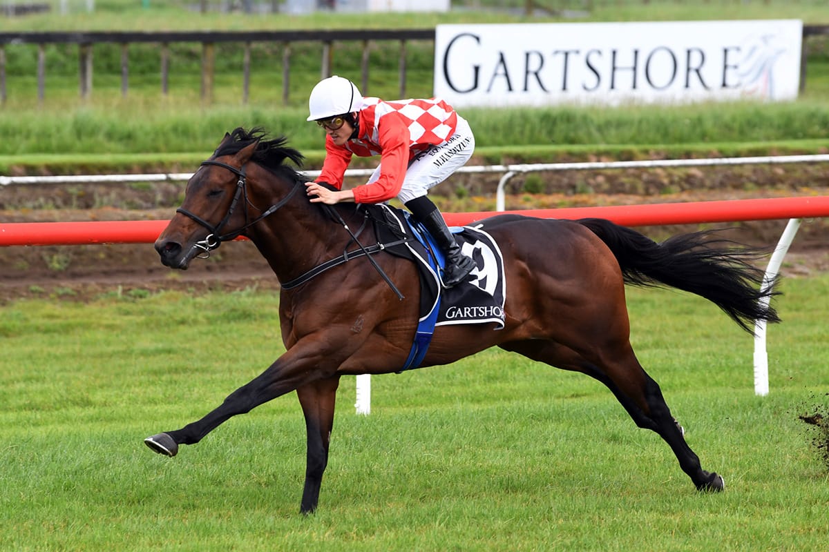 Kingsclere ready for big week ahead