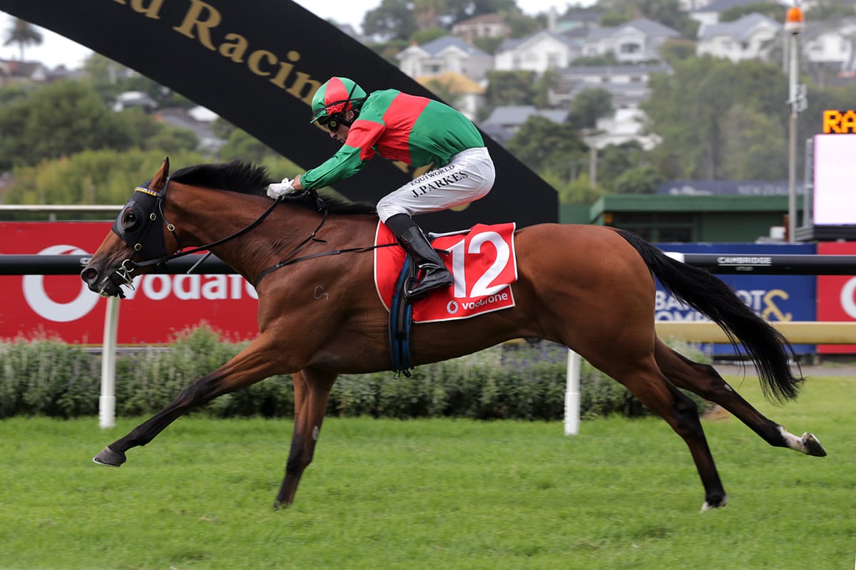 Asterix to launch summer campaign at Te Rapa