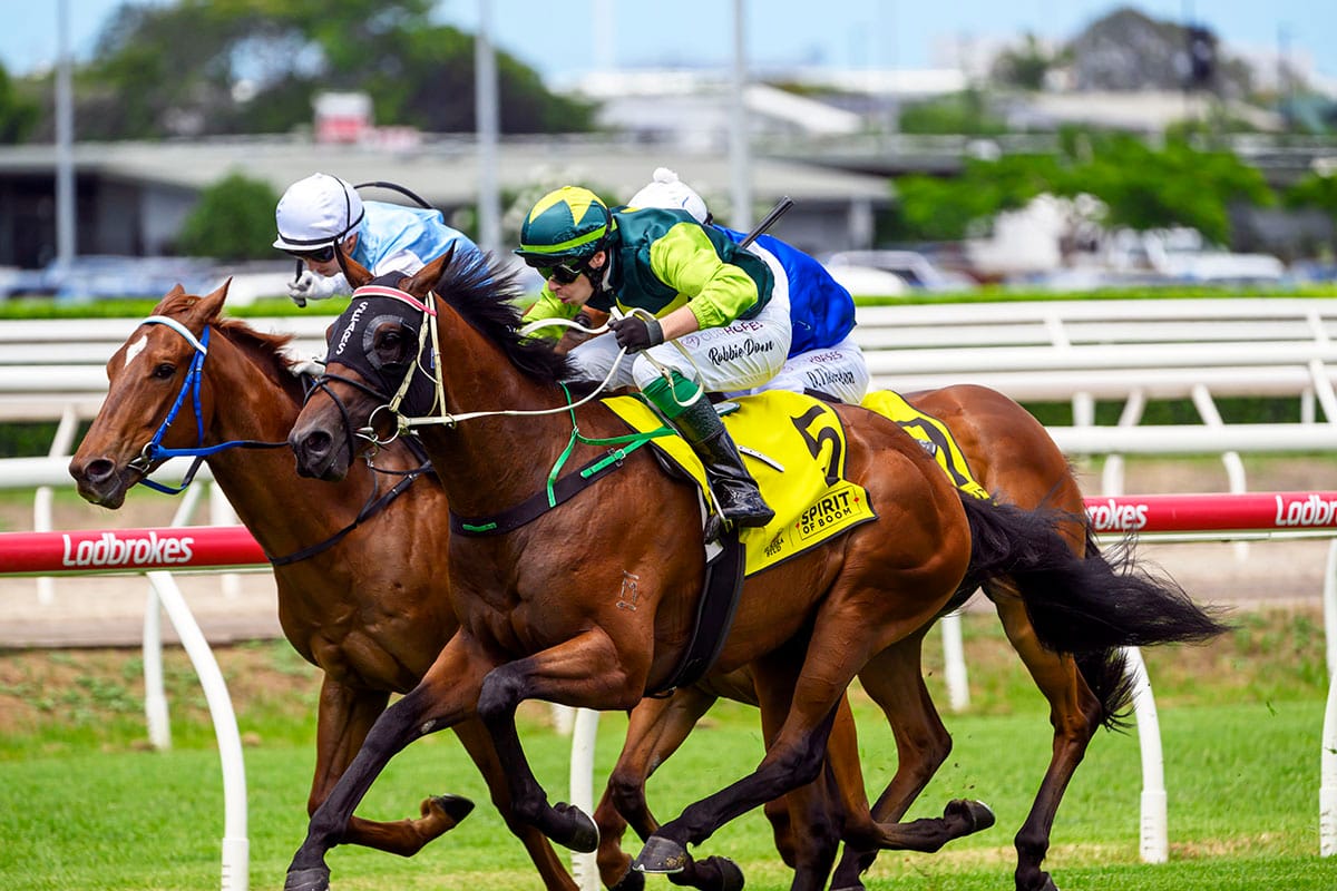 Beau Dazzler strikes in Phelan Ready