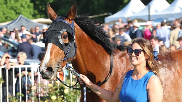 Betty Spaghetti to take aim at northern features