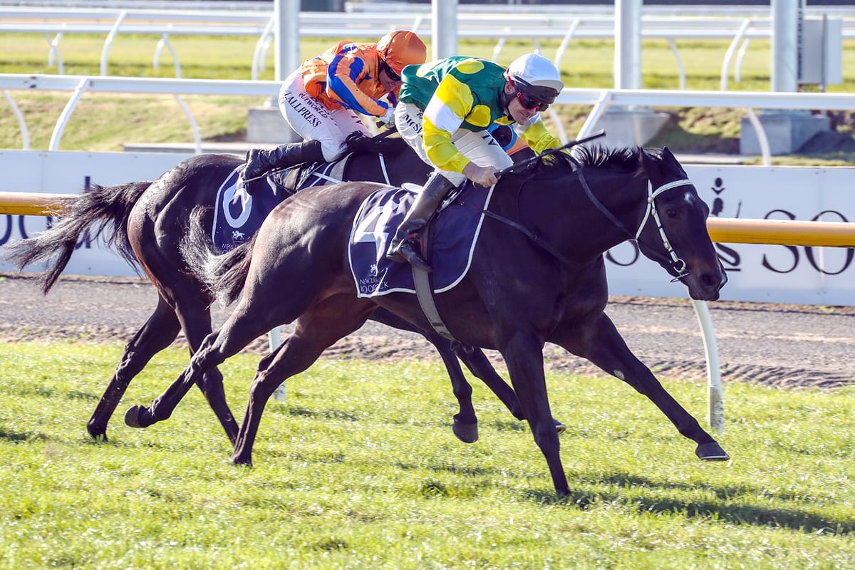 Burgie carrying White Robe Lodge's hopes in WFA