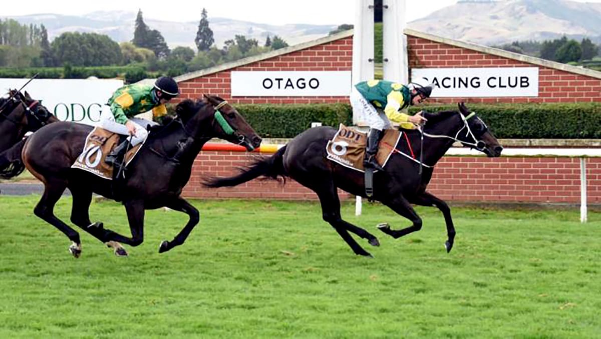 Anderton pair chasing southern series riches