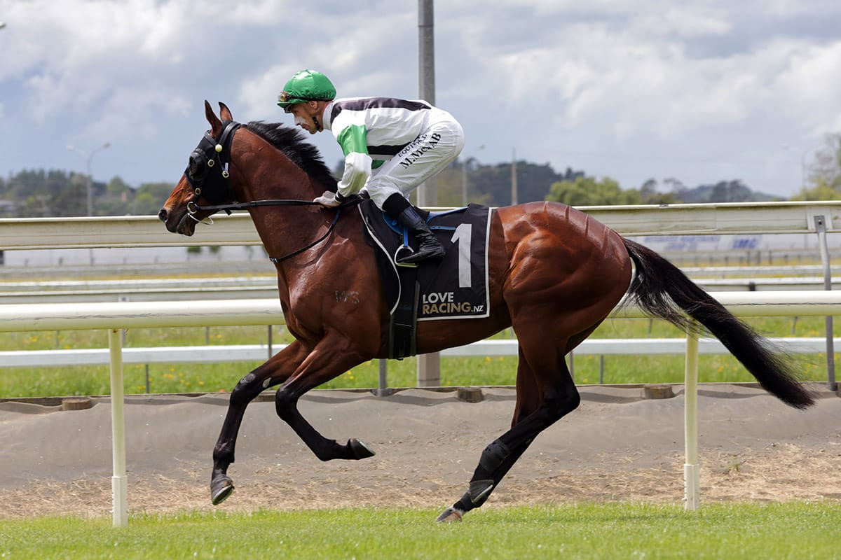 Cannon Hill stepping up to group level