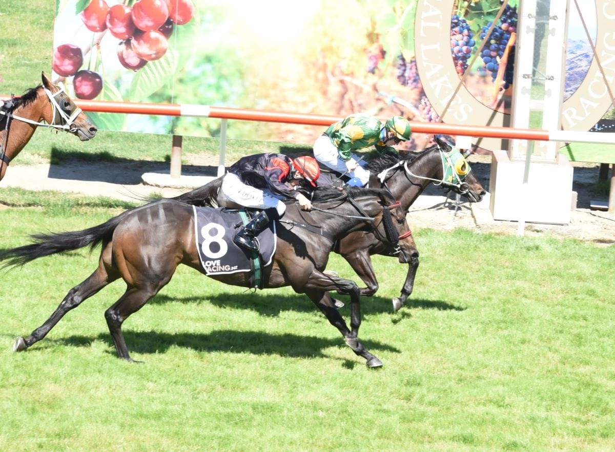 Capo Dell Impero wins Cromwell Cup