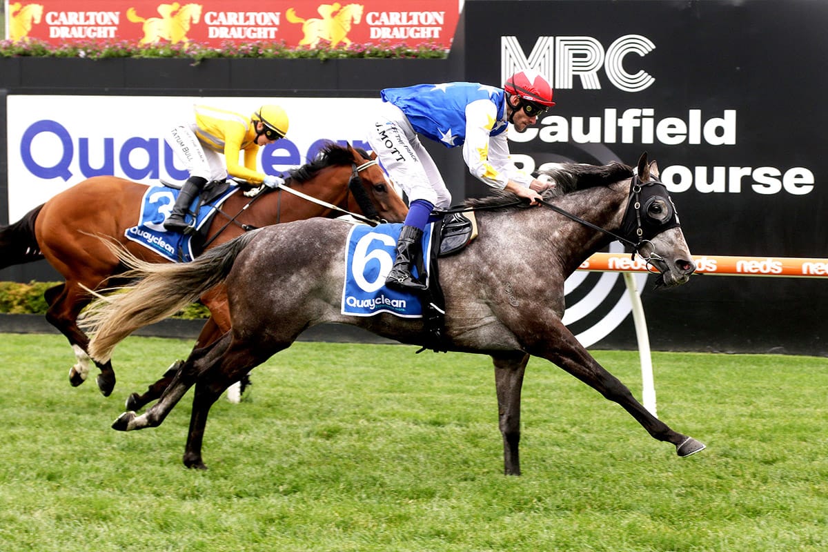 Commander Harry back in winner’s circle