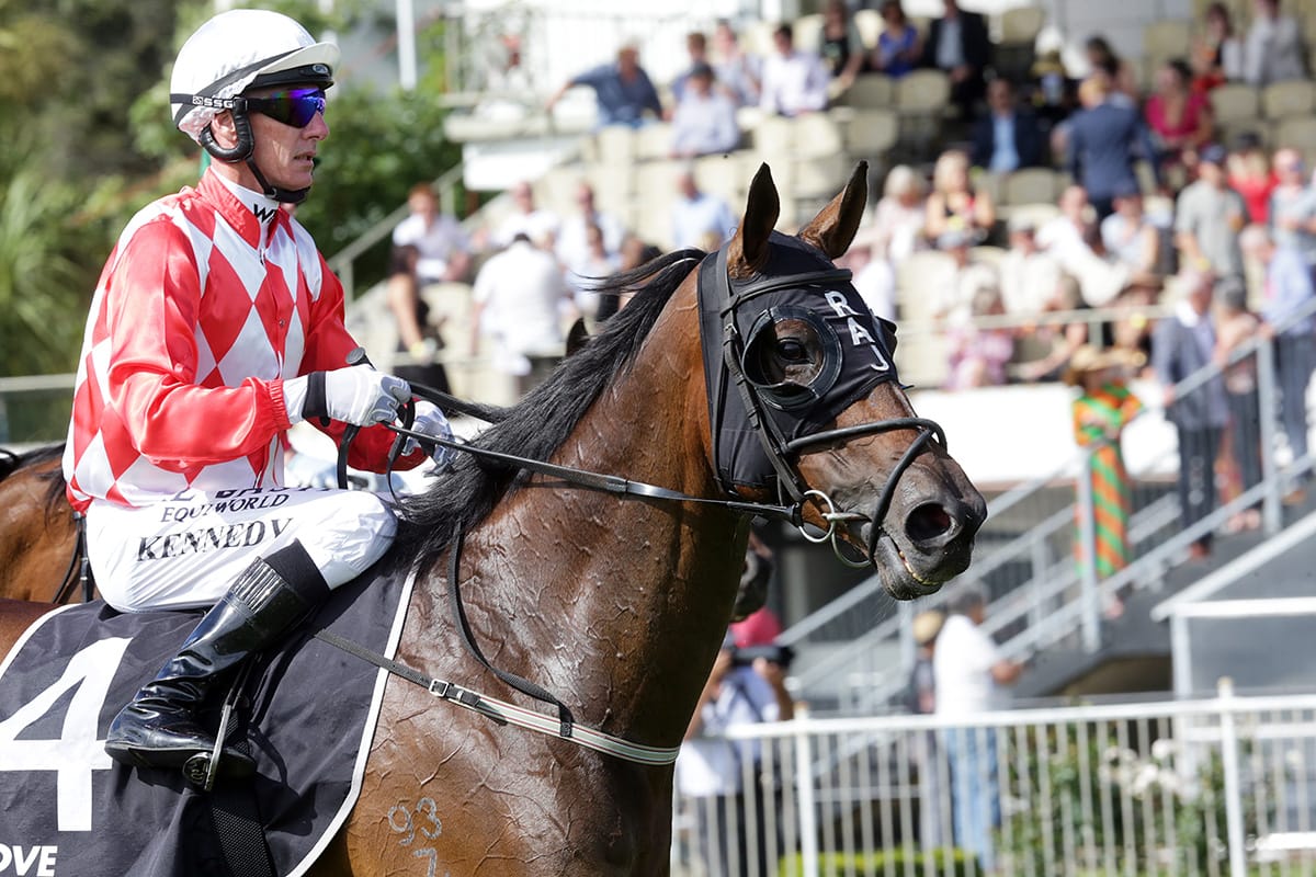 Dionysus lifts stable spirits with Waikato Cup victory