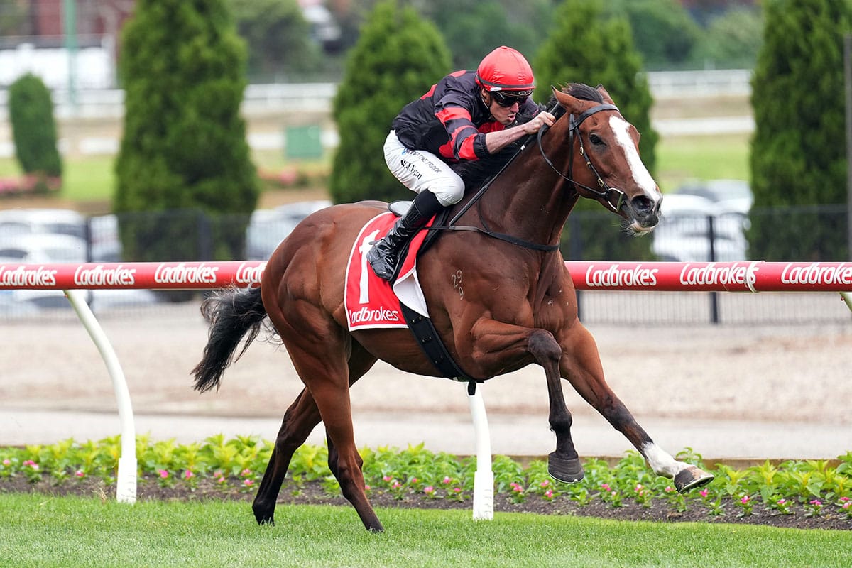 Big weight no worries for classy Dunkel