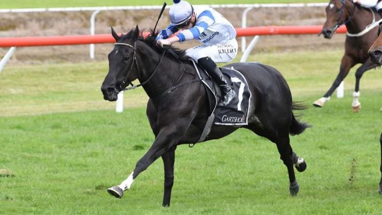 Cole opts for Hastings option with smart mare