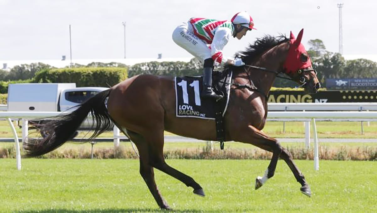 Time for talented mare to head to Trentham