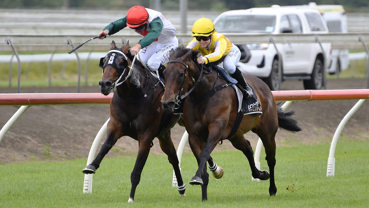 Marsh on Group One mission