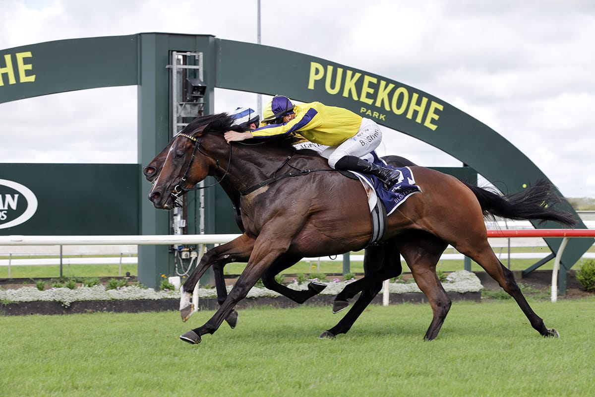 Molly still in bloom