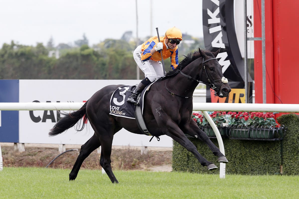 Bosson celebrates milestone on Blue Diamond-bound colt