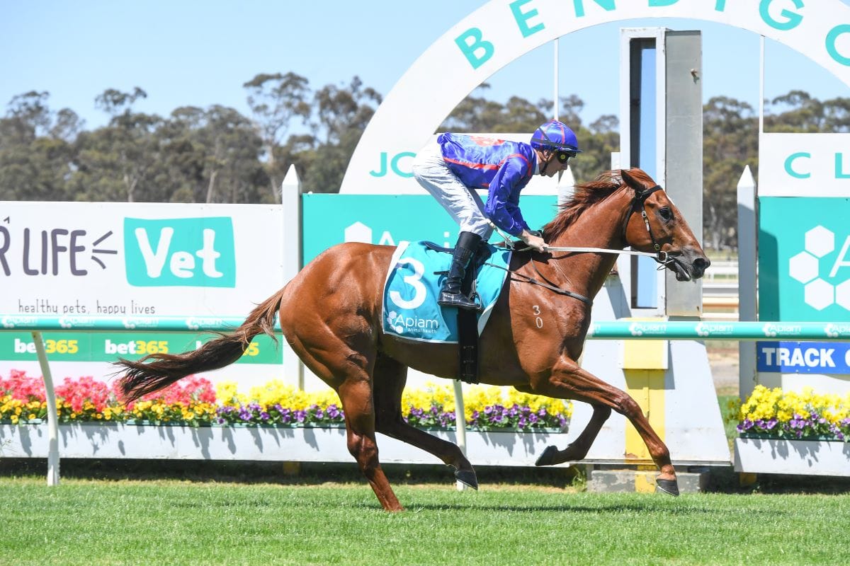 Otago impresses on debut