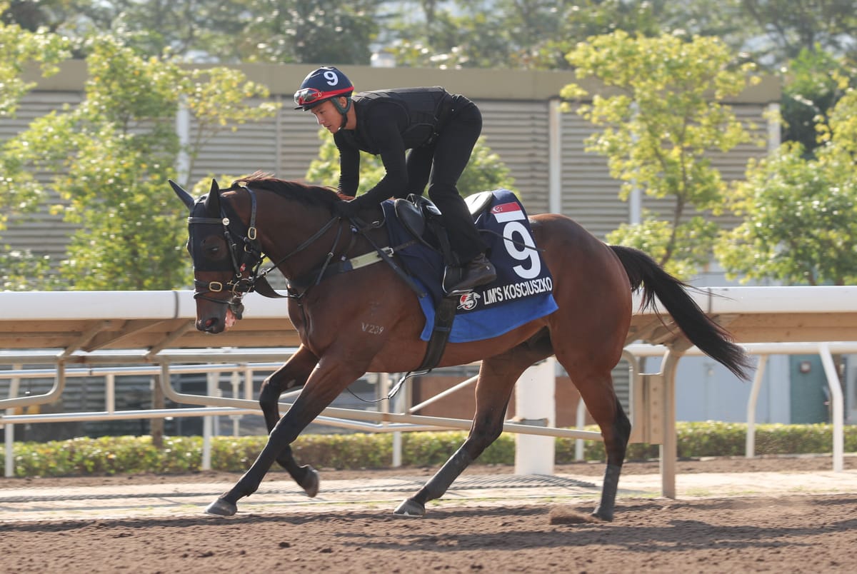 Singapore champion Lim’s Kosciuszko returns for G1 LONGINES Hong Kong Mile