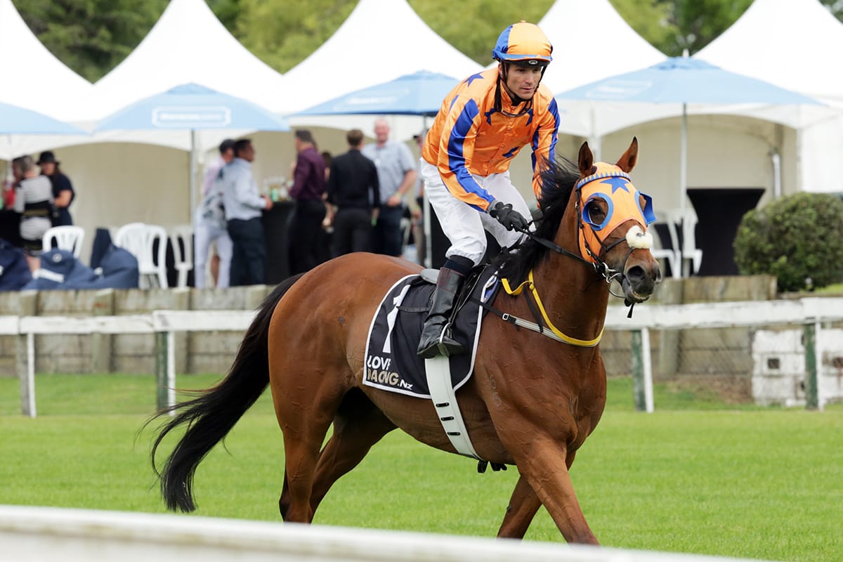 Group One winner looking for another elite win