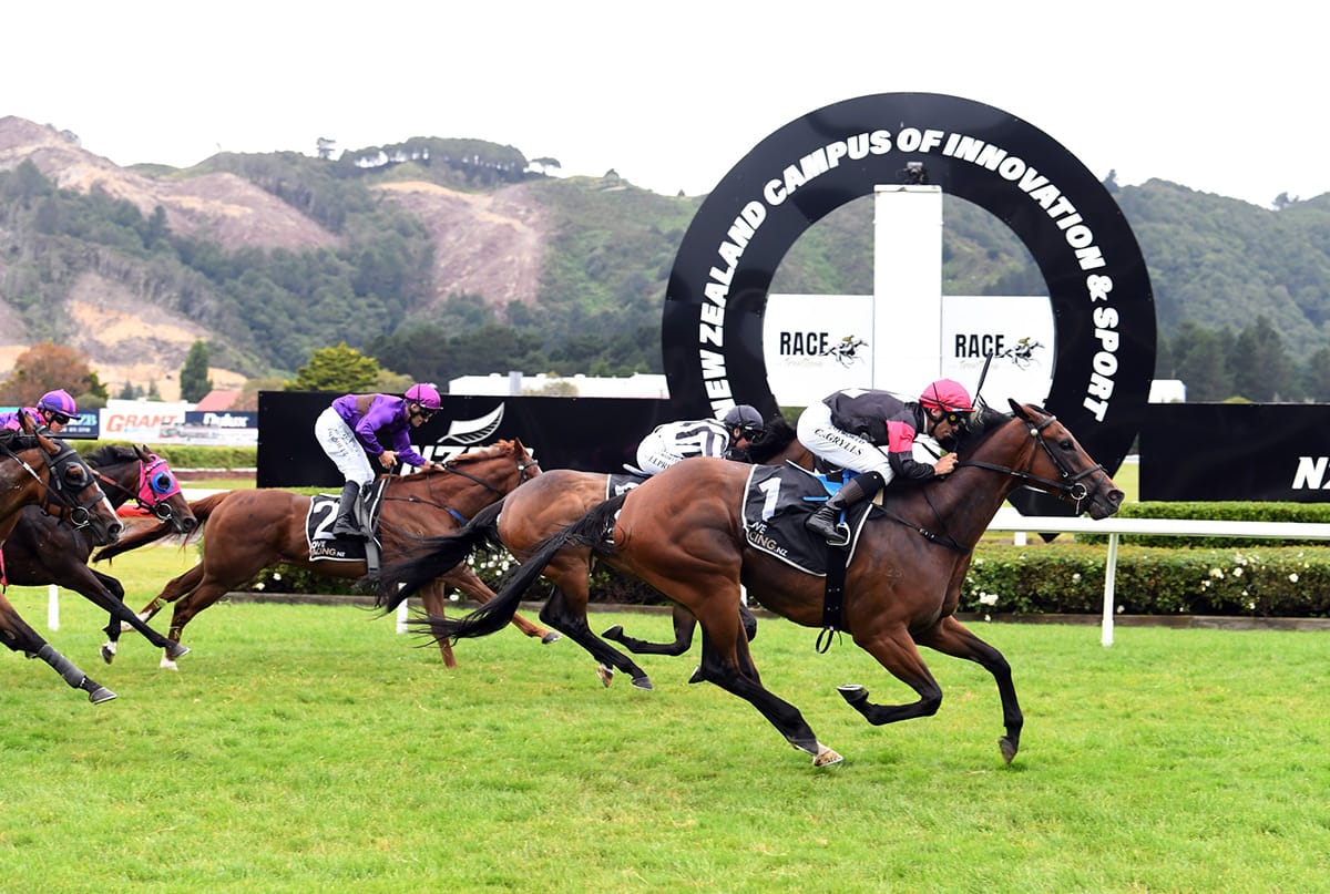 Puntura picks up another Group win