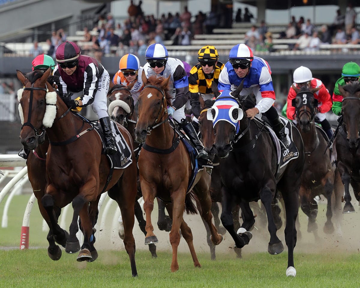 NZ racing coming to racing.com