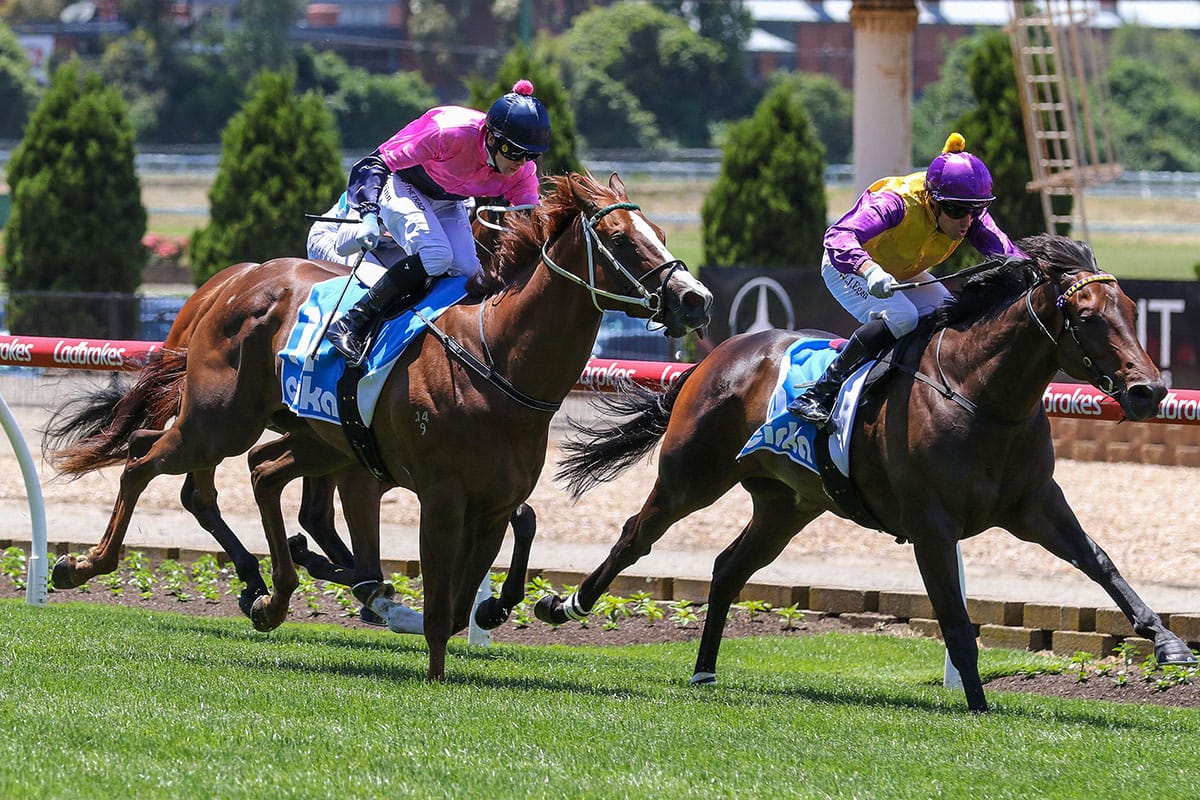 Raetihi goes all the way at The Valley