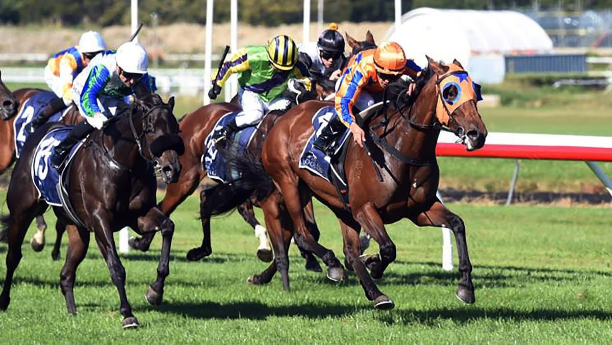 Big team at Te Rapa for Te Akau