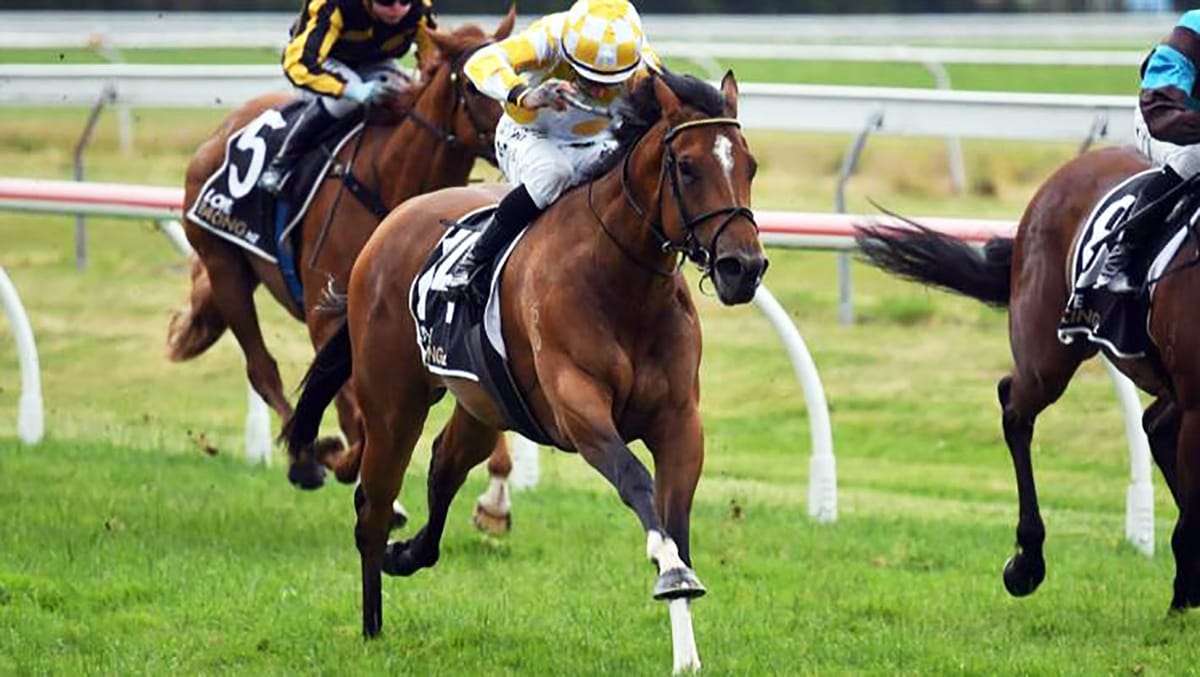 Winning treble for Cole Racing at Rotorua