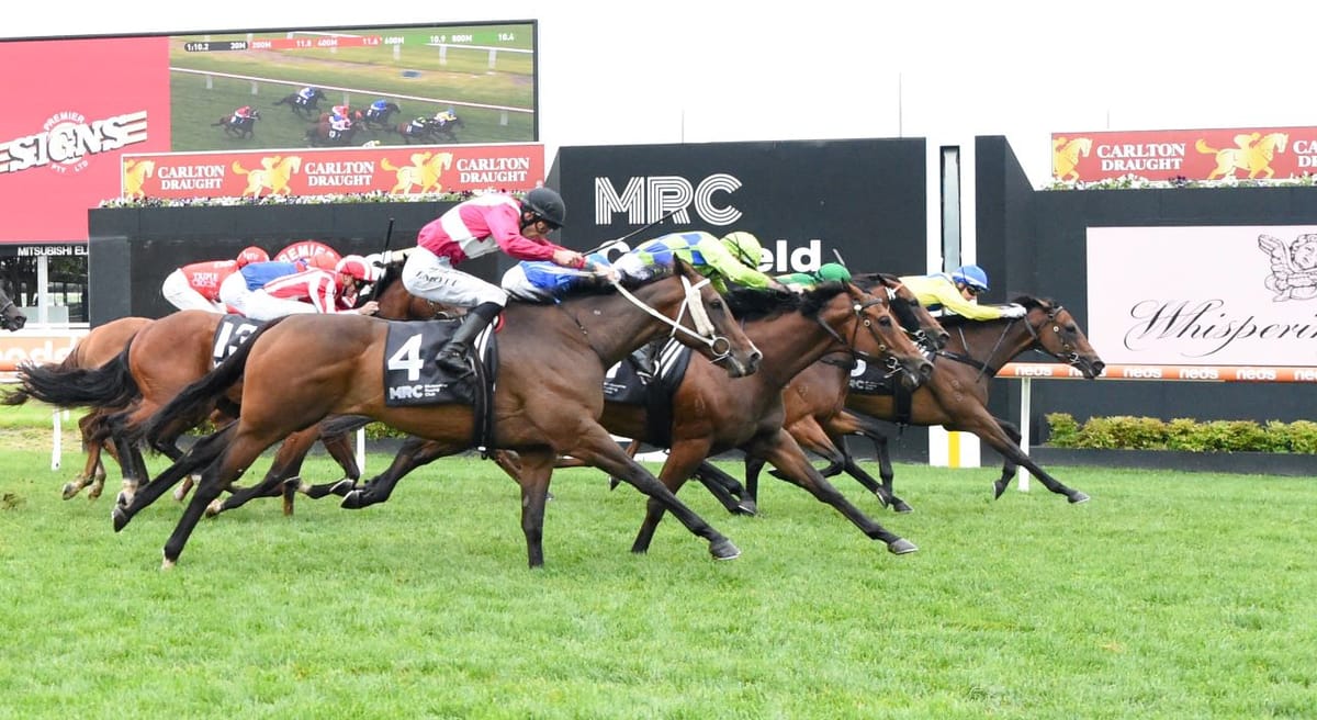 Trainer amazed by Showmanship effort