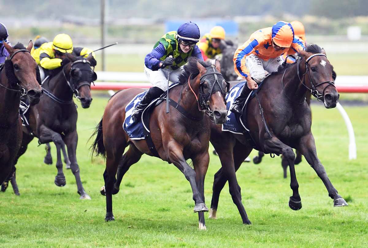Autridge pair ready for Sir Patrick Hogan Stakes