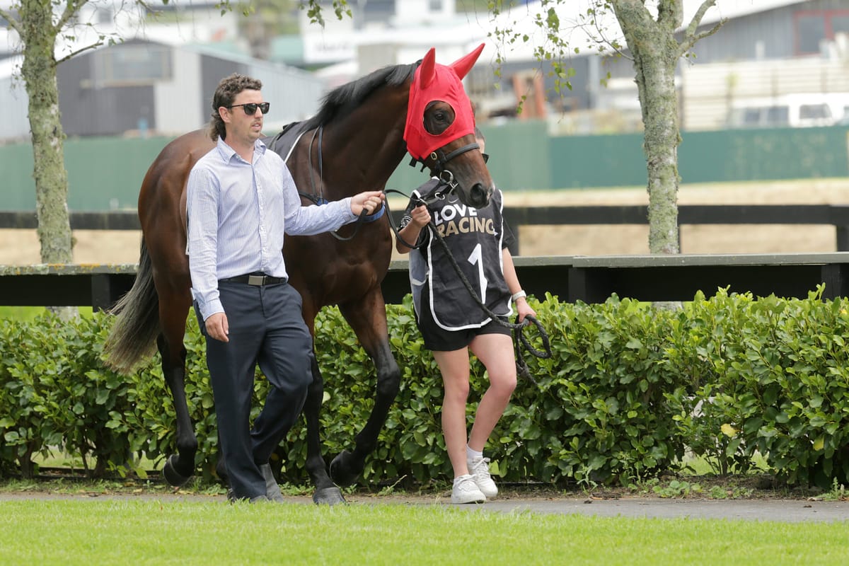 Cole colt to debut at new Plymouth