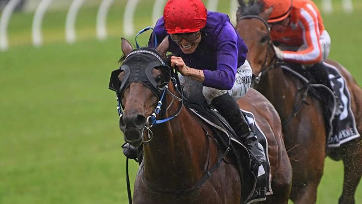 Thunder to hit Te Rapa