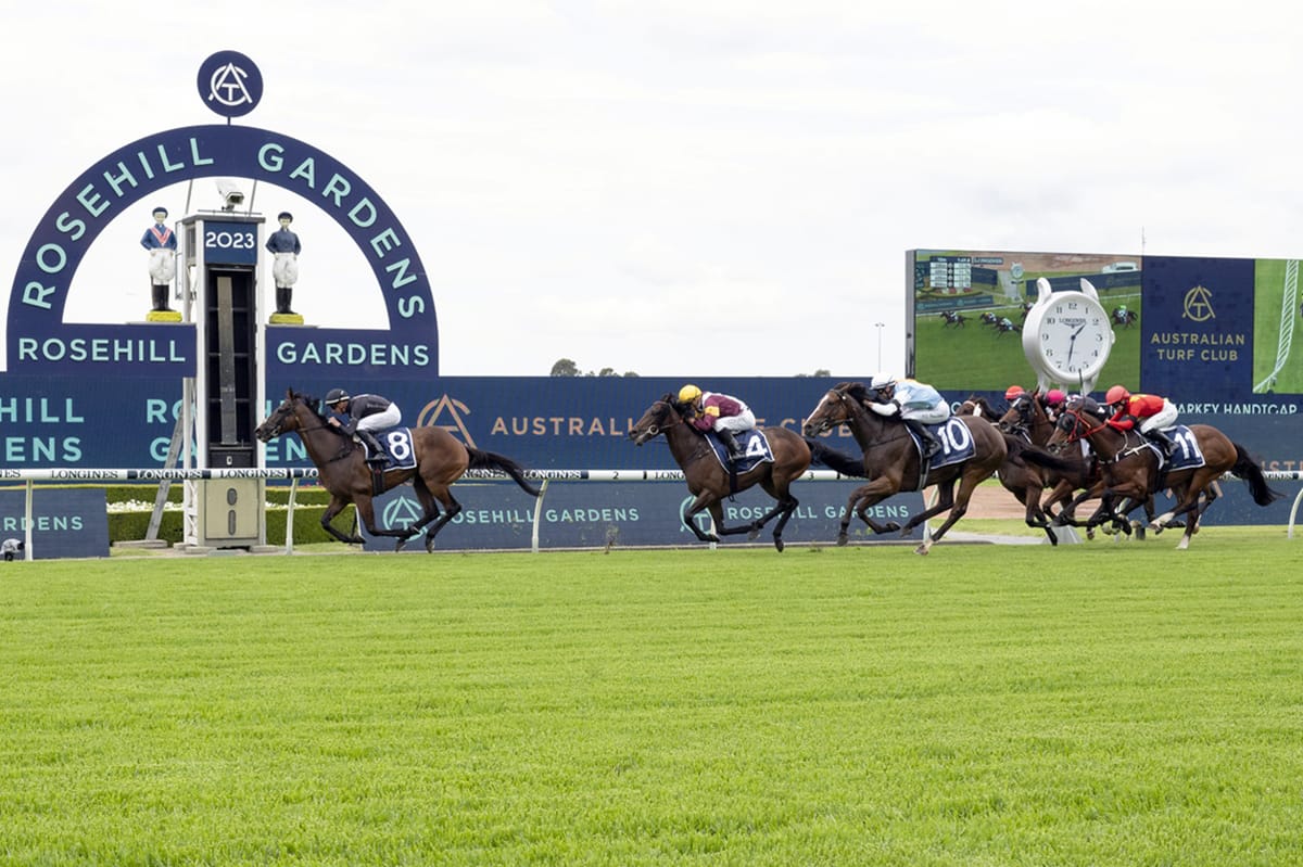 Rawiller remains unbeaten with Toesonthenose
