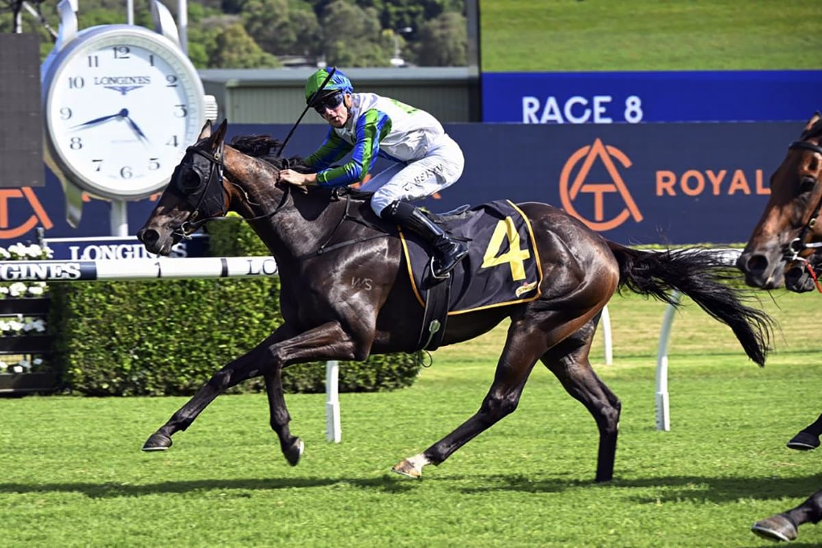 Waihaha Falls completes remarkable Randwick victory